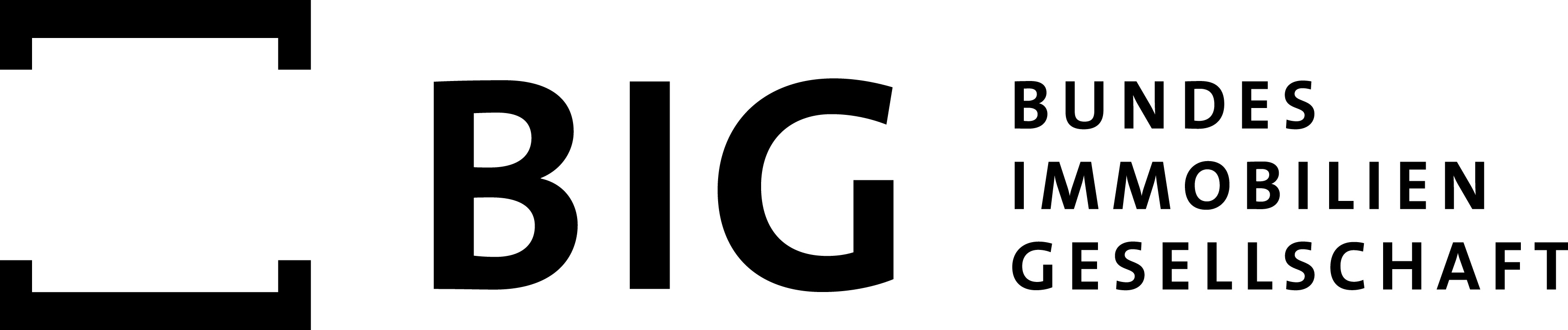 Logo BIG